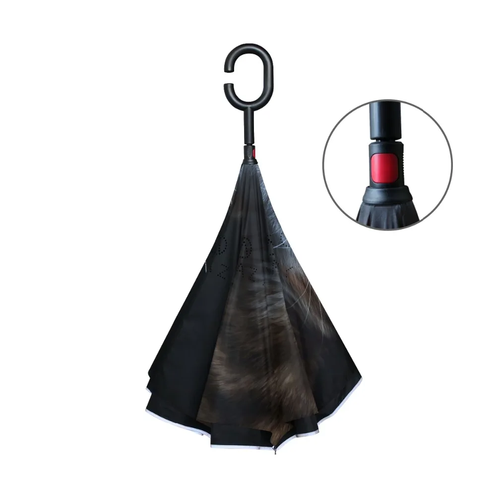 g3111987p183c217s313_2