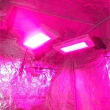 120*120*200 см сельского хозяйства палатка нетоксичные пользовательские расти палатки для расти палатку овощей