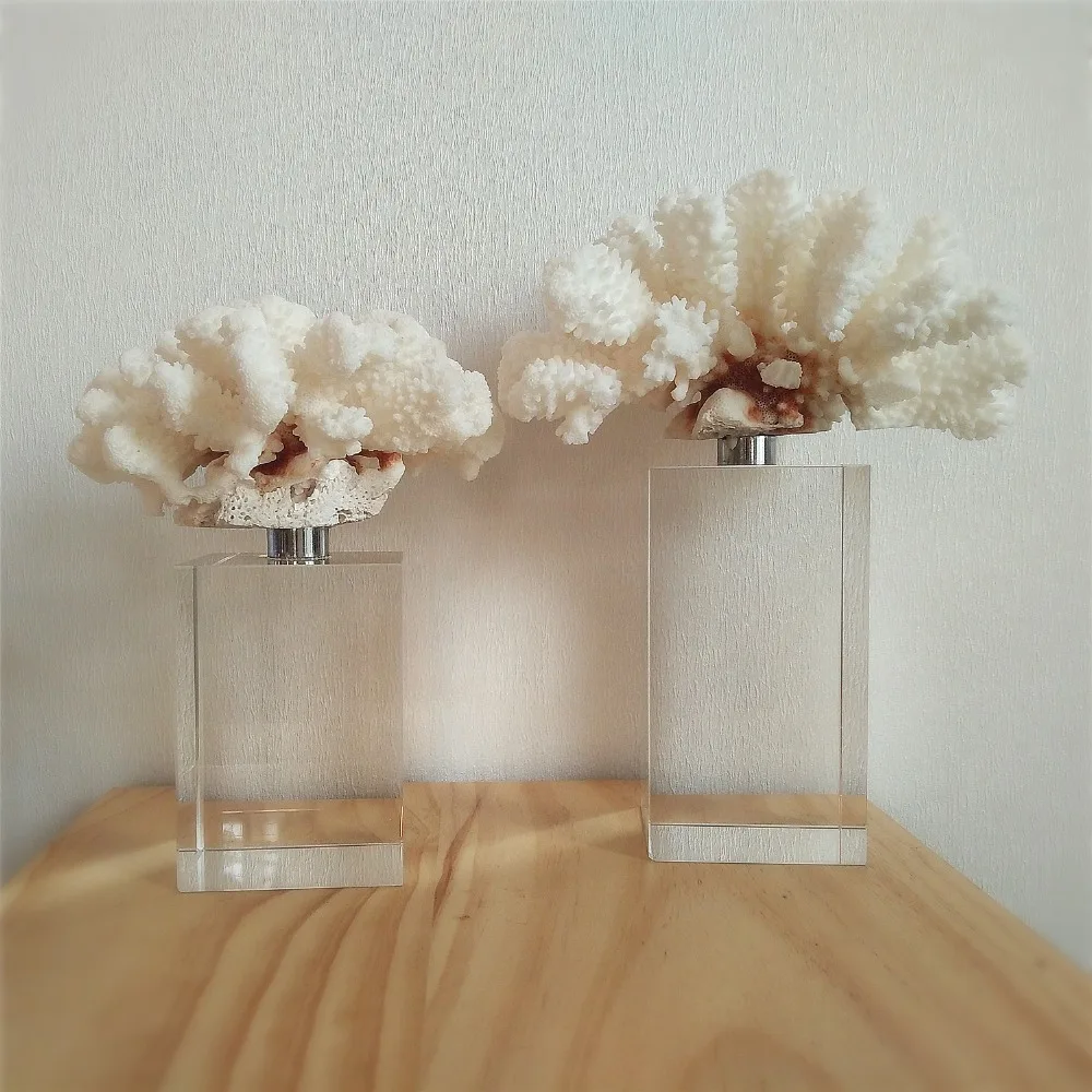 BRAC4077-WH-06