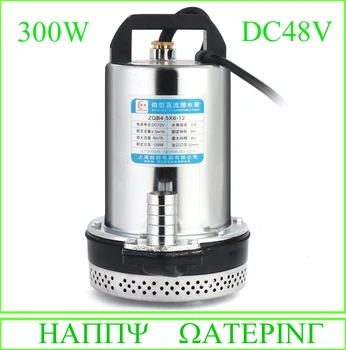 

DC48V 300W Solar Submersible Water Well Pump for Farm and Garden with 10M Wire Length 18M Lift Max