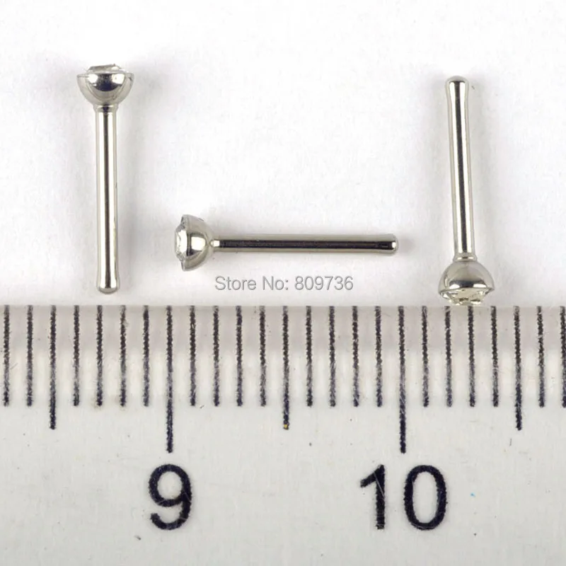 NS4 (7)