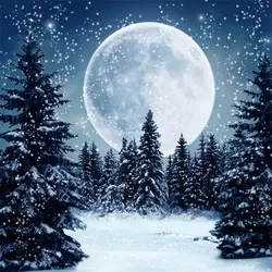 Laeacco зима снег луна ночь лес сцены Детские фотографии фоны на заказ фотографические фоны для фотостудии