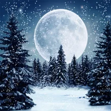 Laeacco Winter Snow Moon Night Forest Scene Baby Children Photography Backgrounds Custom Photographic Backdrops For Photo Studio