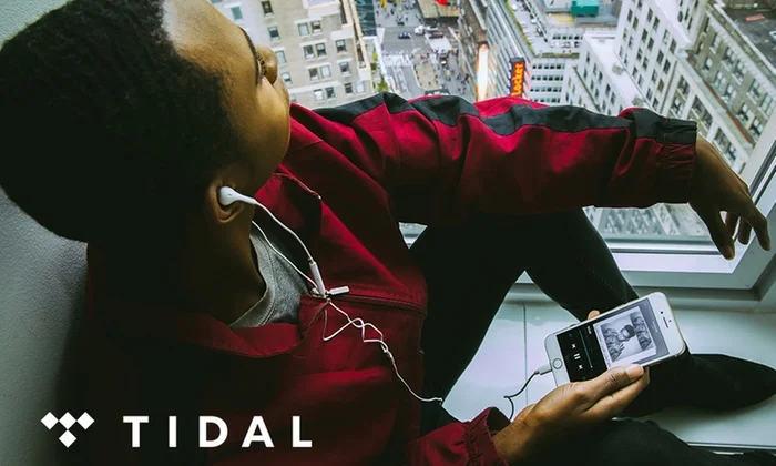 1 год гарантии для Tidal Премиум подписки на ПК Смарт-телевизоров набор топ коробки Android IOS планшеты шт