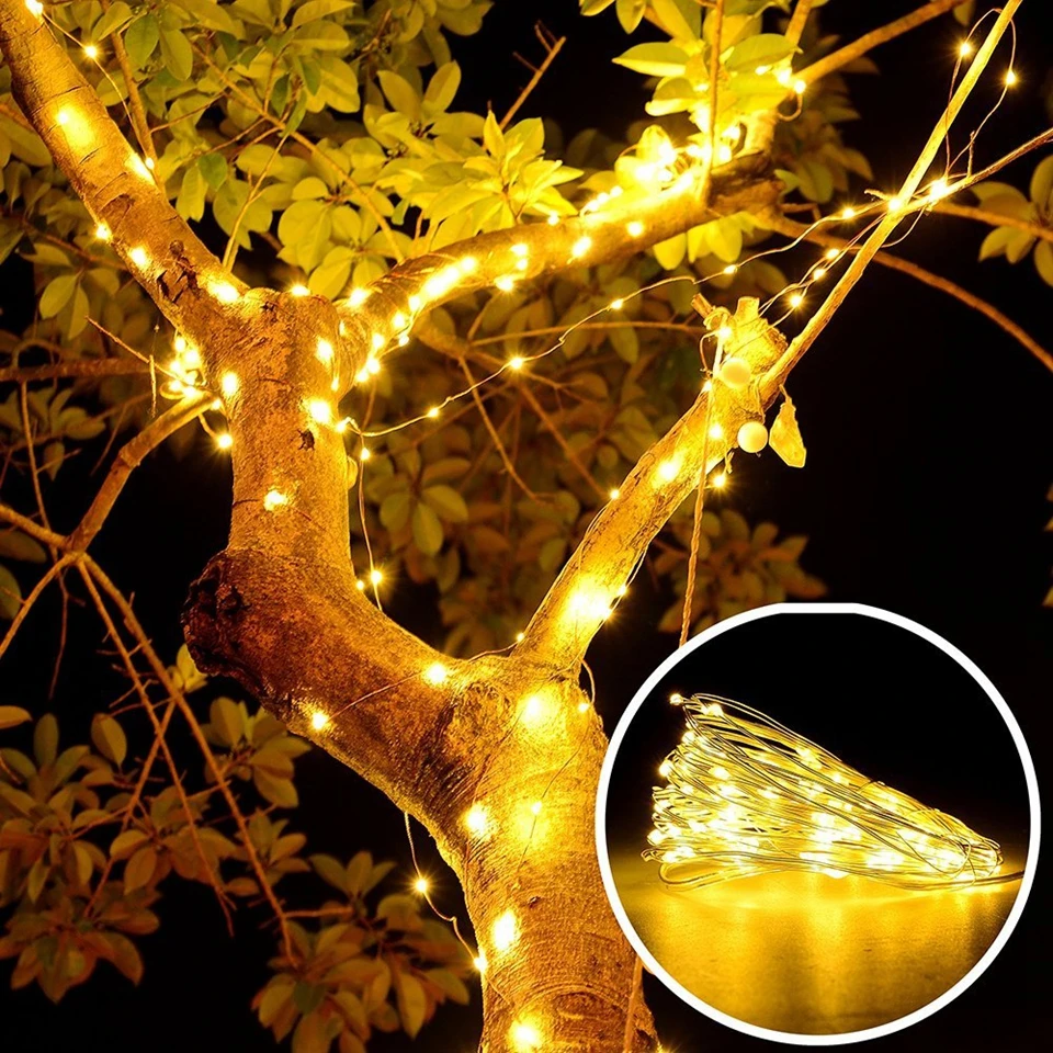 Holiday string lights (20)