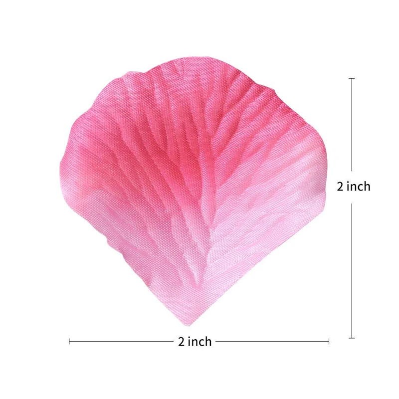 613BSOQhc5L._SL1000_