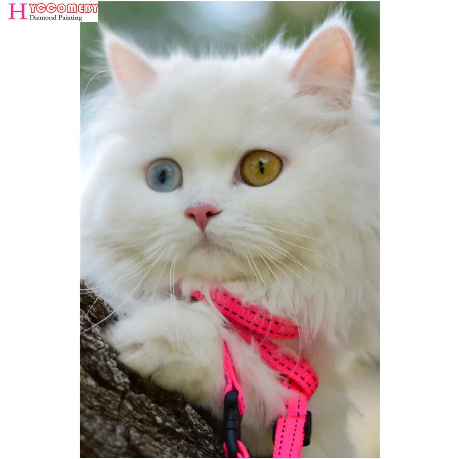 Us 0 58 55 Off Diamond Painting Diy Full Square Daimond Painting Animal Cat Mosaic Rhinestone Painting Diamond For Living Room Decor Wall Art In
