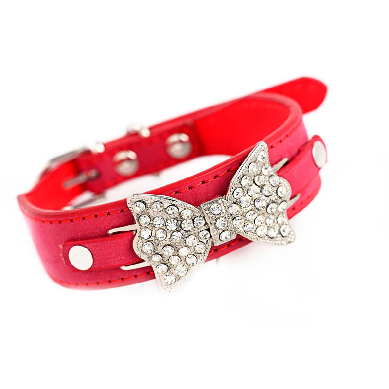 05 chihuahua collar 