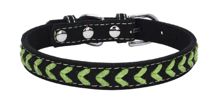 dog collars (7)