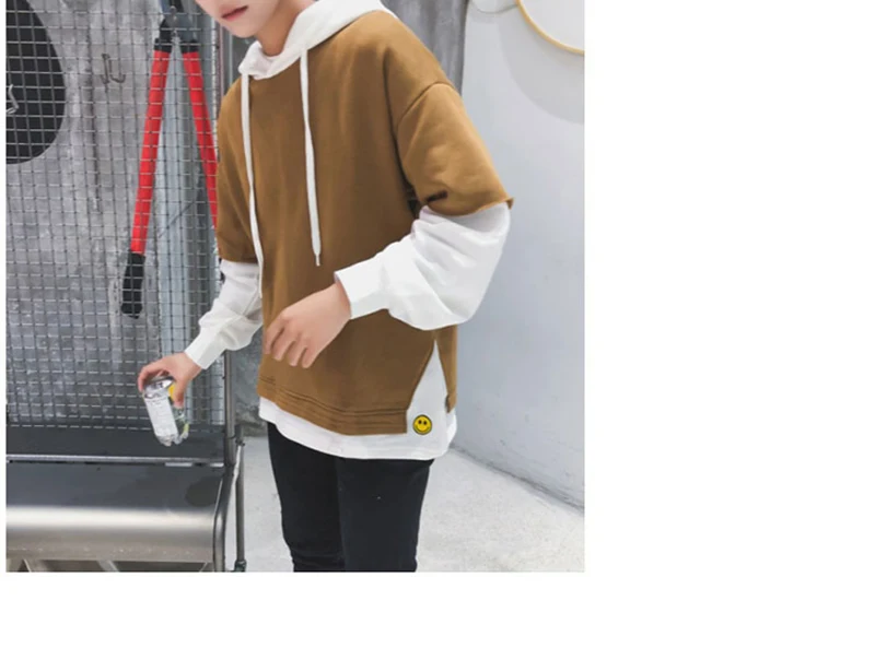 Korean sweatshirt men hoodie hip hop  (10)