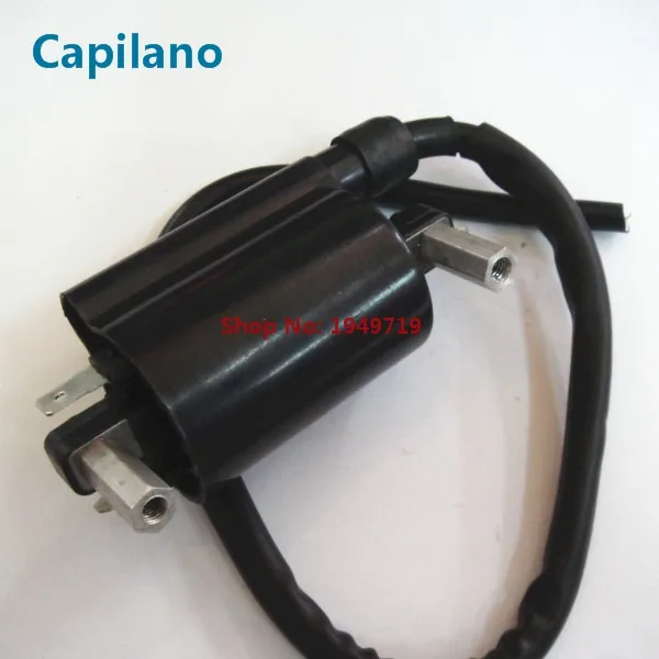 GS125 ignition coil) (3)