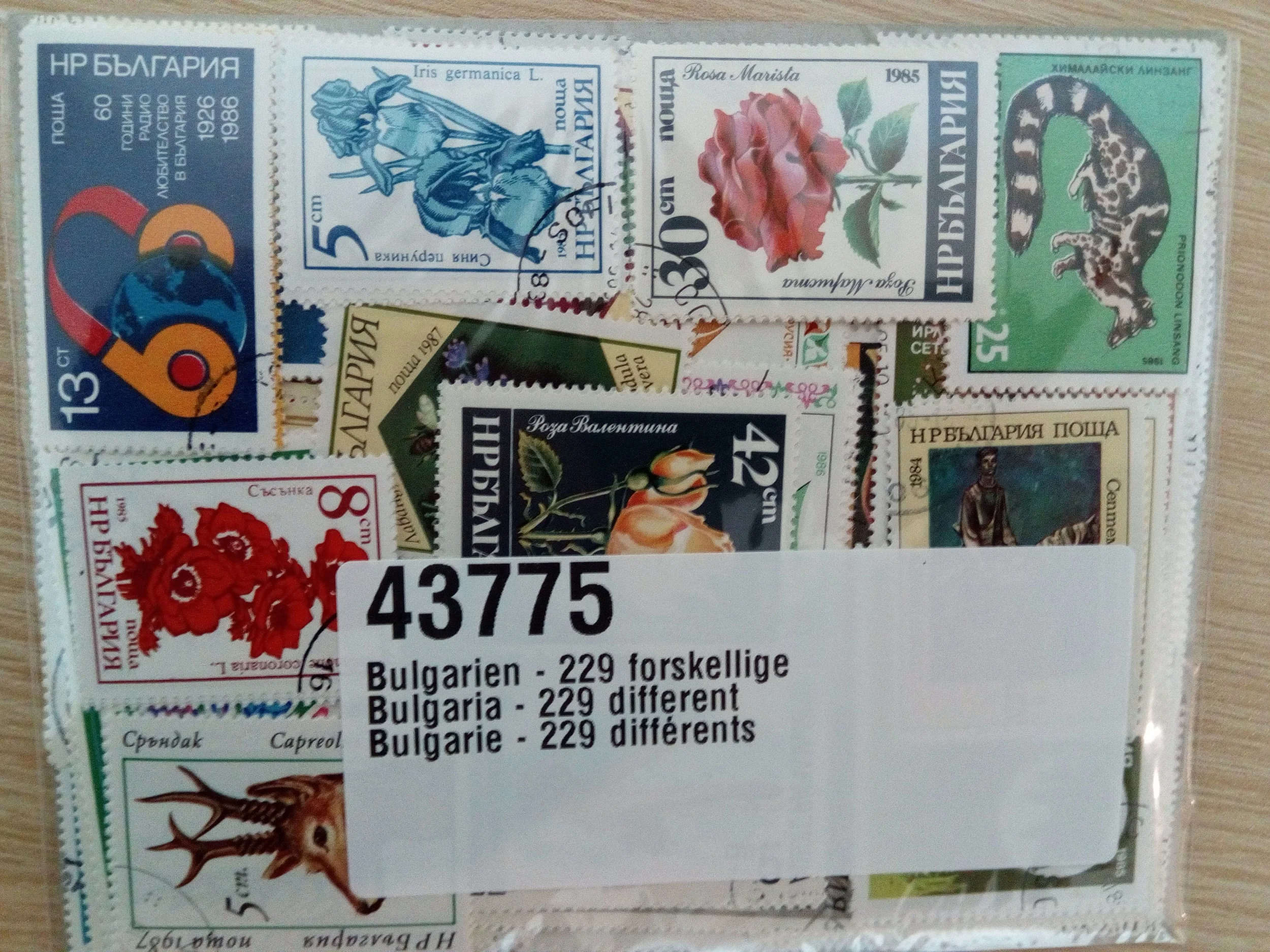 50 шт. Топический штамп болгарийские штампы все разные без повторения неиспользованные помеченные почтовые марки для сбора