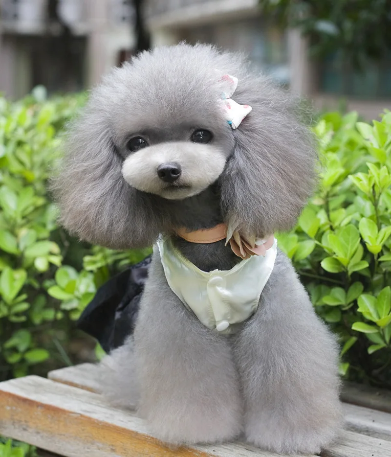 Корейский Стиль домашнее животное собака платье маленький щенок Одежда для собак большой бант пачка юбка свадебное платье Одежда для собак одежда костюм
