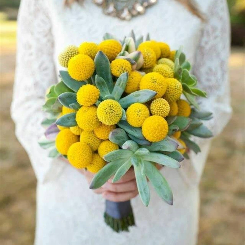 JAROWN Natural Dried Flowers Gold Ball Eternal Flores For Wedding DIY Bouquet Decorations Home Flower Arrangement Art (21)_