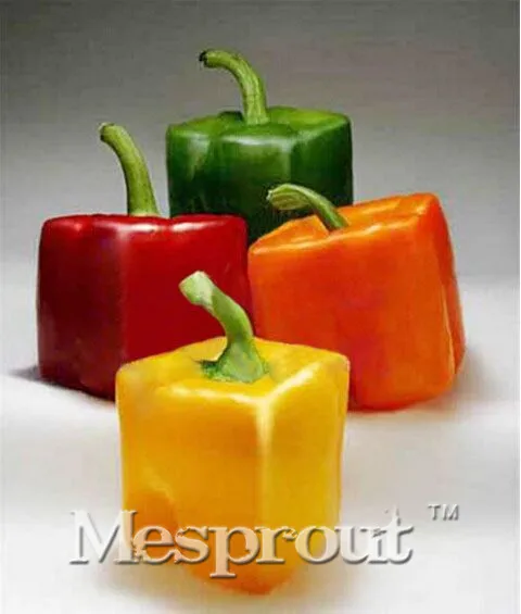 

Hot Sale! Rarest Mixed Orange Green Red Yellow Square Sweet Pepper Bonsai, 100 Bonsai / Pack, Edible Tasty Vegetables