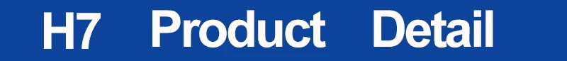 H7 (2)