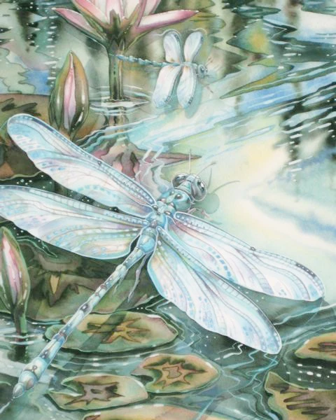 

Diamond Painting Full Square Diamond Embroidery Flowers Lotus Dragonfly DIY Kit Mosaic Decorative Rhinestone Decor
