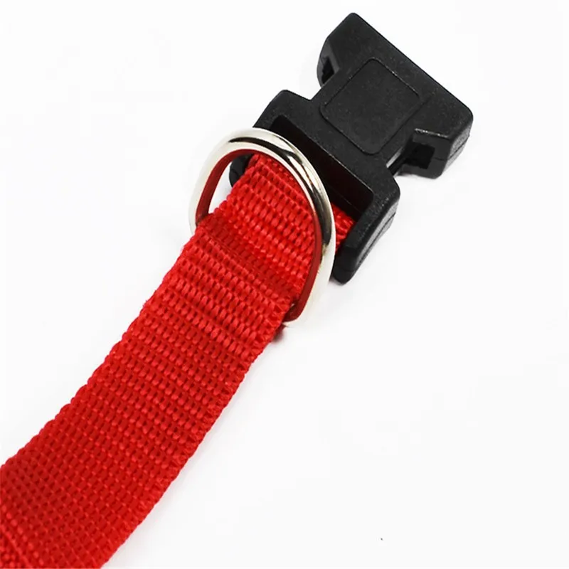 3459950256_1295703088