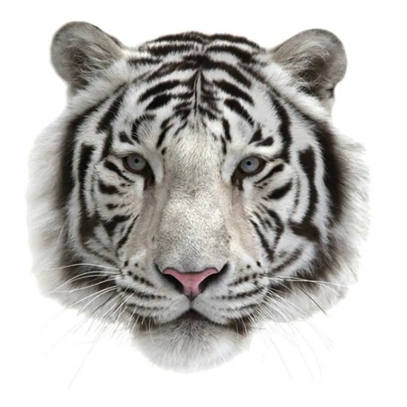 

White tiger head deal with it pvc patch iron on transfers for clothing heat transfer patches for clothes t shirt animal stickers