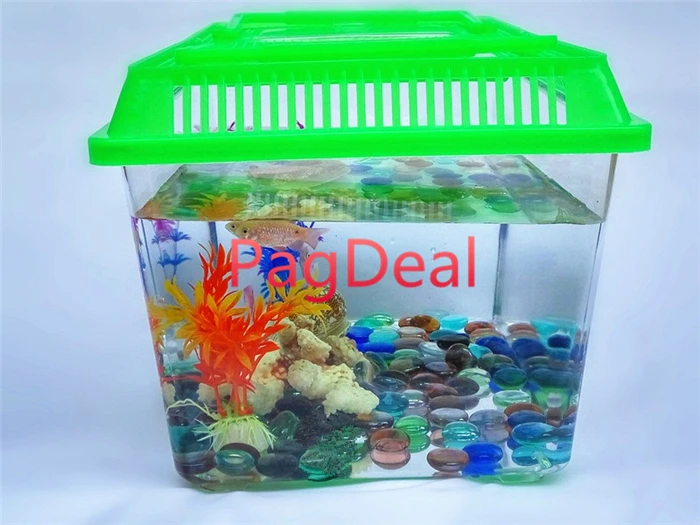 fish tank box0