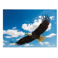 1000 шт. для взрослых Развивающие муха головоломка декомпрессионная игрушка плотная бумага головоломка 3D орел головоломки игрушка подарок для детей