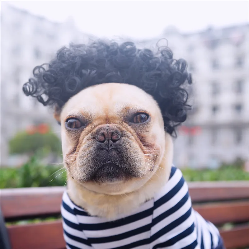 

HOOPET Pet Puppy T-shirt Striped Fashion Dog Cat Periwig Pet Hairpiece Funny Cool Autumn Pet Clothing