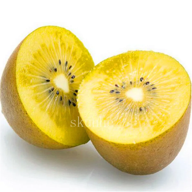 200pcs Varieties Purple Heart Kiwi Bonsais Fruit Tree Home Amp Garden