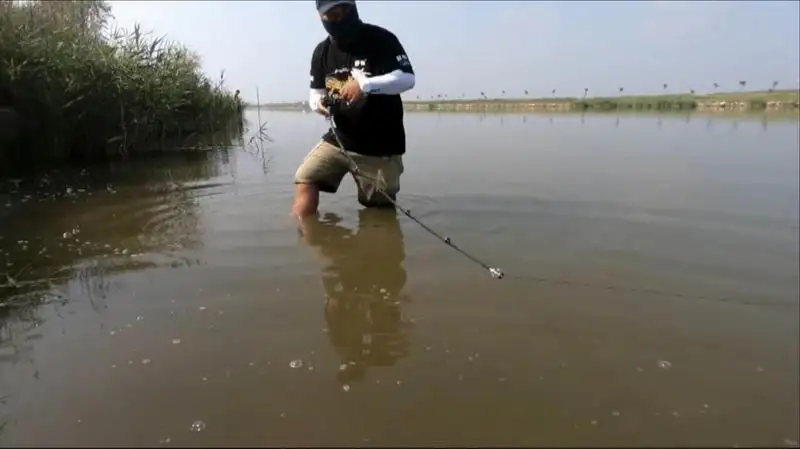 Carretel da Carcaça de Isca Notas da Força de Travagem. Isca de Pesca Isca de Pesca Baitcast Ratio 8.1: 1 8kgs 5 Magnético Classes ou 9 Rolamento 13b ou 7b Tanto Bom 31 relação 8.1:1 força de freio 8kgs magnético