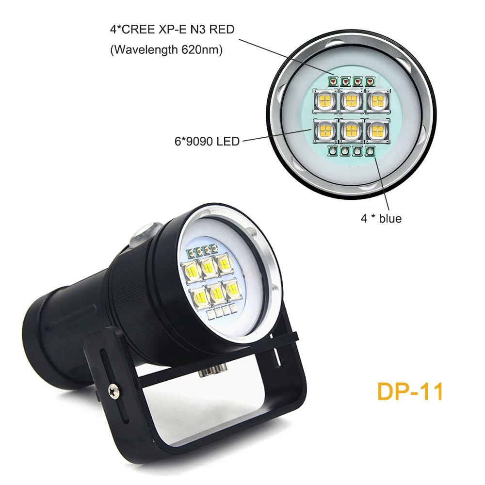 DP11