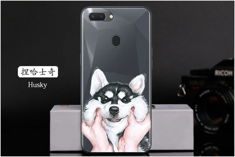  Husky