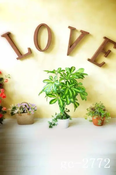 

5x10ft Vinyl Custom Photography Backdrops Props Photo Studio Backgrounds GC-2772