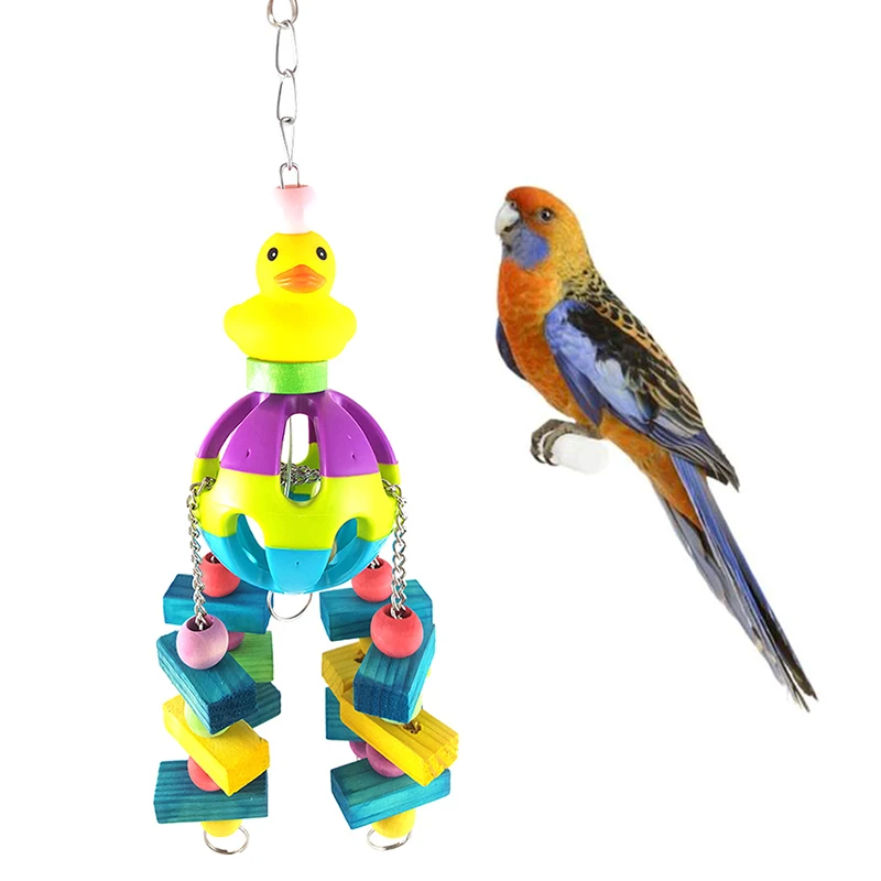 Online Buy Wholesale rainbow parrots from China rainbow parrots