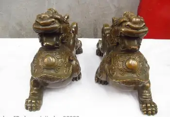 

China Folk Fengshui Bronze Guardian Brave troops Foo Dog Lion Kylin PiXiu Pair
