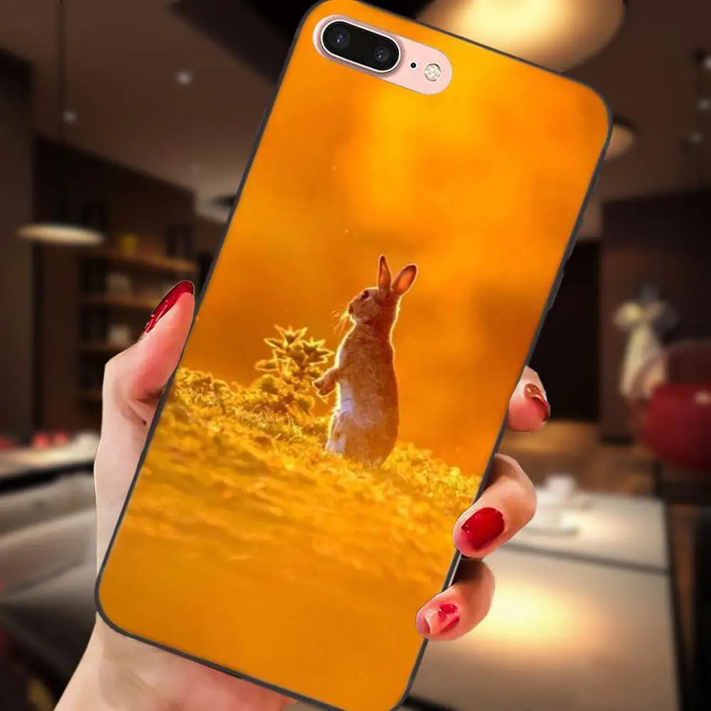 Мягкий TPU чехол для Huawei NOVA 2 Plus S 3i 4 Y3 Y5 II Y6 Y7 Y9 Lite Prime 2017 2018 2019 милый белый