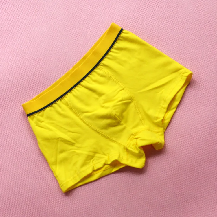 4 Pcs/Lot Organic Cotton Kids Boys Underwear Pure Color Babys Shorts Panties Boys Boxer Children's Teenager Underwear 3-12 Year 4 Pcs/Lot Organic Cotton Kids Boys Underwear Pure Color Babys Shorts Panties Boys Boxer Children's Teenager Underwear 3-12 Year
