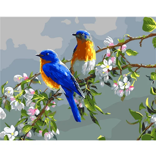 Цветные картины по номерам птицы акварельные животные картина цифровая краска s по номерам с красками цвета - Цвет: E583