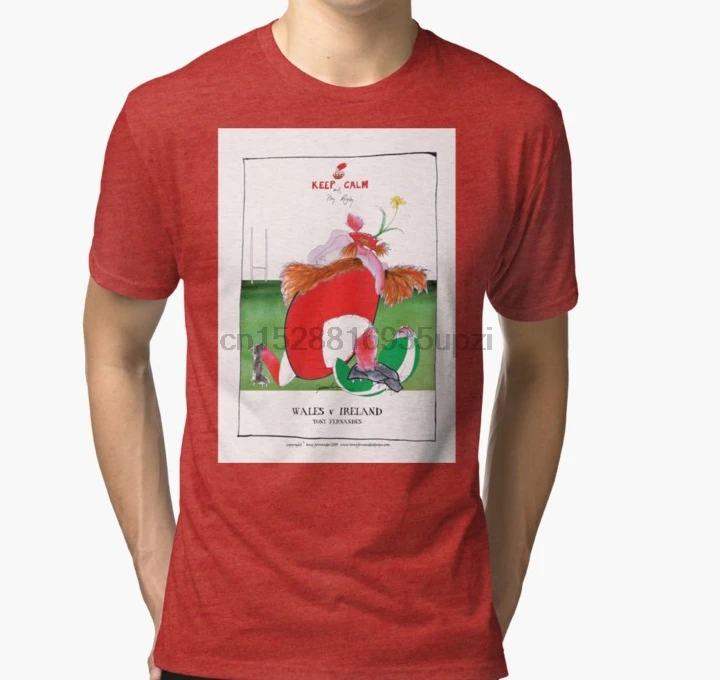 

Men Short sleeve tshirt Rugby Balls wales v ireland tony fernandes T Shirt Women t-shirt