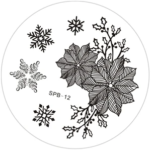 Цветок Рождество винтажный узор дизайн ногтей шаблон штамповочных плит DIY ногтей печать изображения пластины набор - Цвет: SPB 12