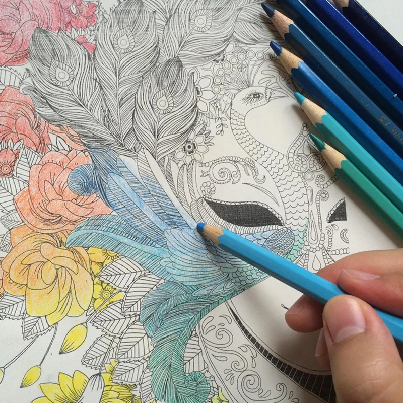 Flowers and the night-watcher Adults coloring book For Children Relieve Stress Secret Garden Drawing colouring book 86 Pages