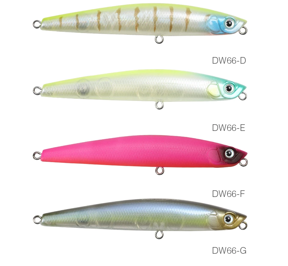 DW66--_11