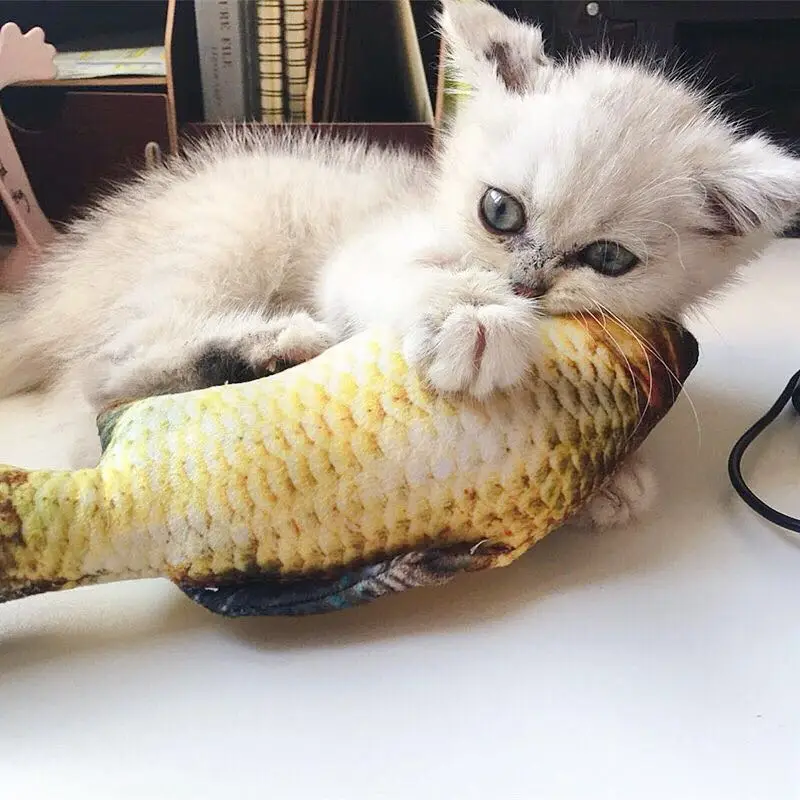 fish toy