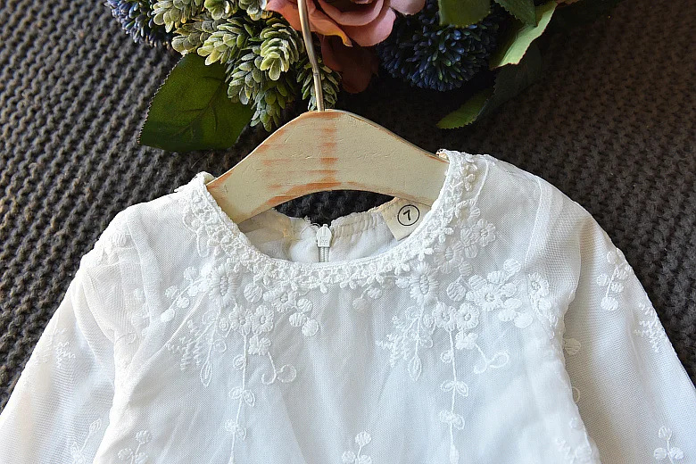 Fashion Casual Girls Dresses 2018 Embroidery Lace Princess Party Children Clothing Spring Autumn Kids Dress For Girls 7 8 Years (10)