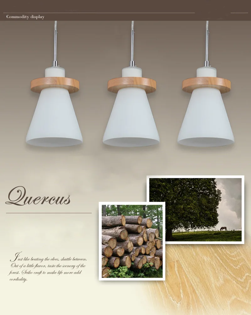 pendant lamp 4
