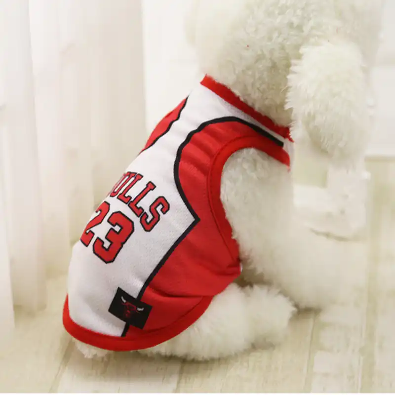 chicago bulls dog jersey