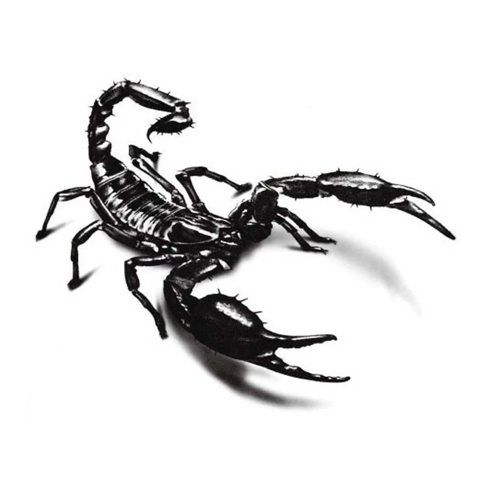 Us 063 5 Offblack Scorpion Tattoo Body Art Waterproof Fake Sexy For Woman Flash Temporarytattoo Stickers In Temporary Tattoos From Beauty Health