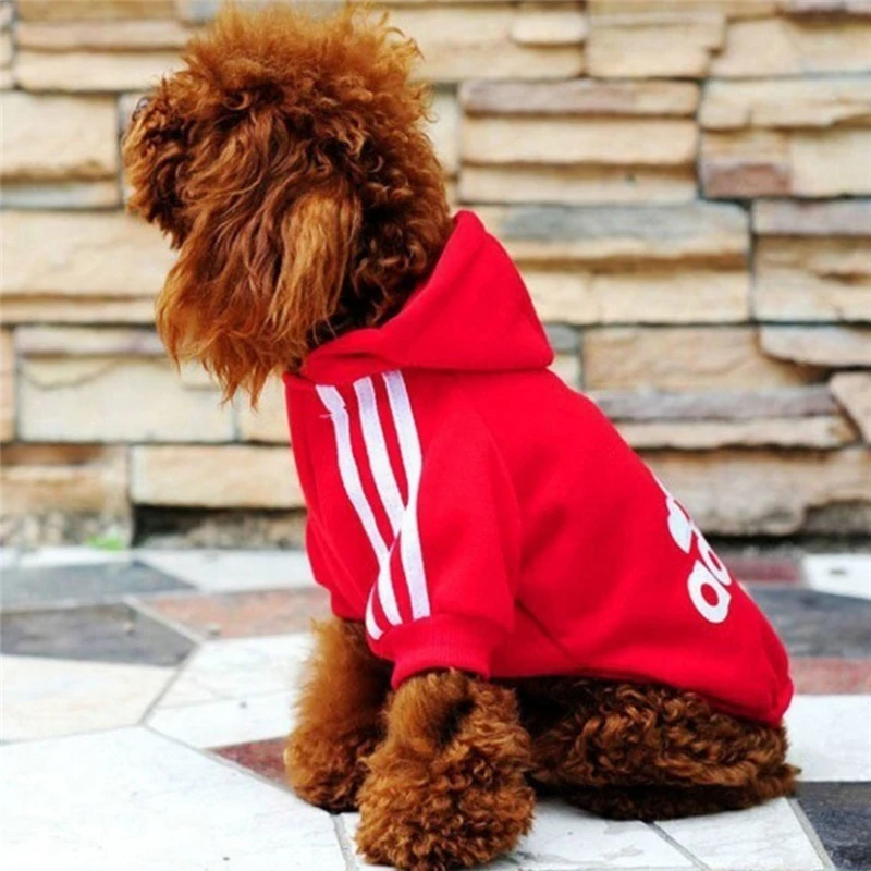 Buy Dog Clothes for Golden Retriever Dogs Large Size Winter Dogs coat Hoodie