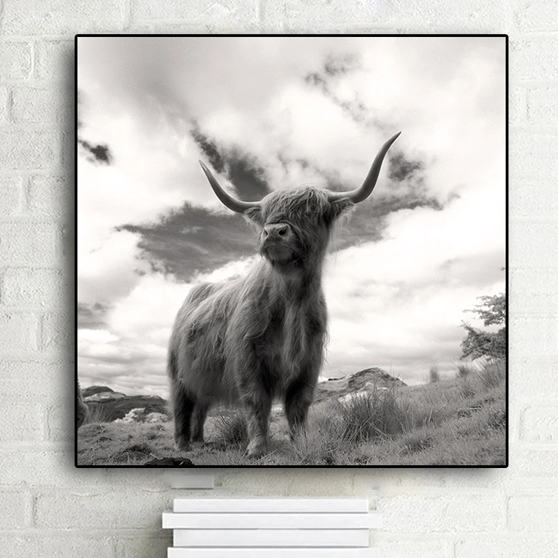 

Highland Cow Black and White Canvas Art Posters and Prints Canvas Painting Nordic Decoration Wall Art Picture for Living Room