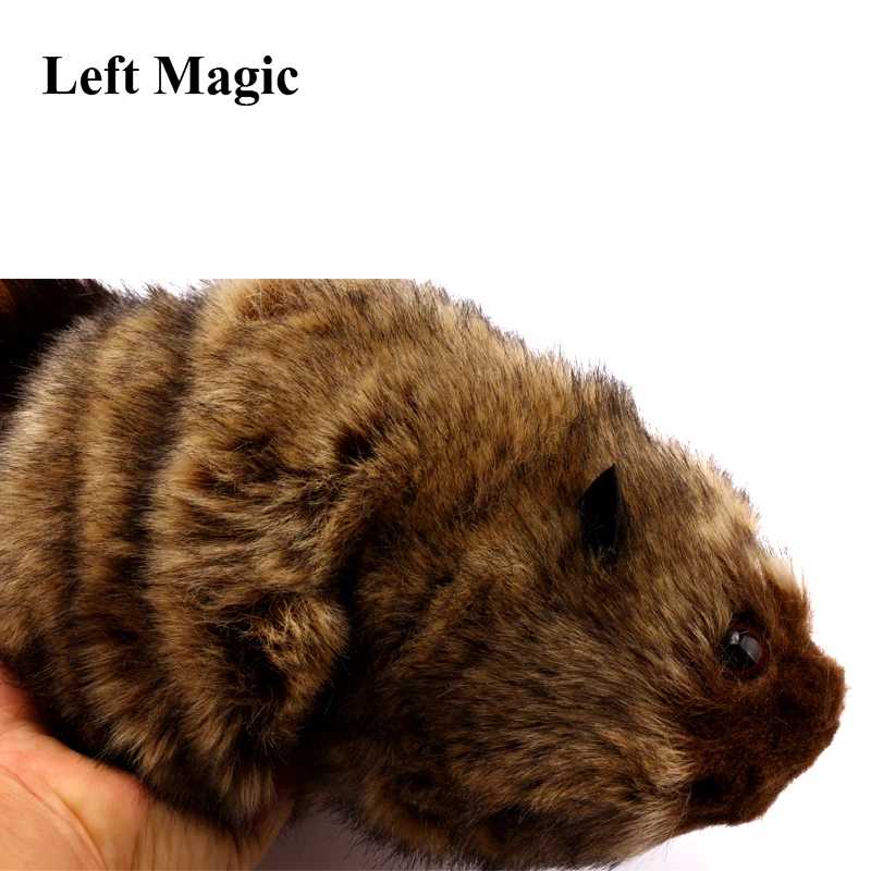 Super Robbie Rocky Raccoon  Stage Magic Tricks toys Party Magic1pcs/lot  Magic for fun