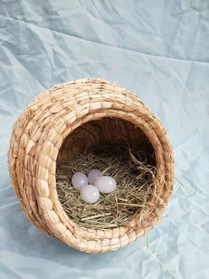 

Гнездо для голубей, травяное гнездо, приборы, гнездо для писем, горшок для голубей, птичье гнездо, кукурузное гнездо для предотвращения перекатывания травы