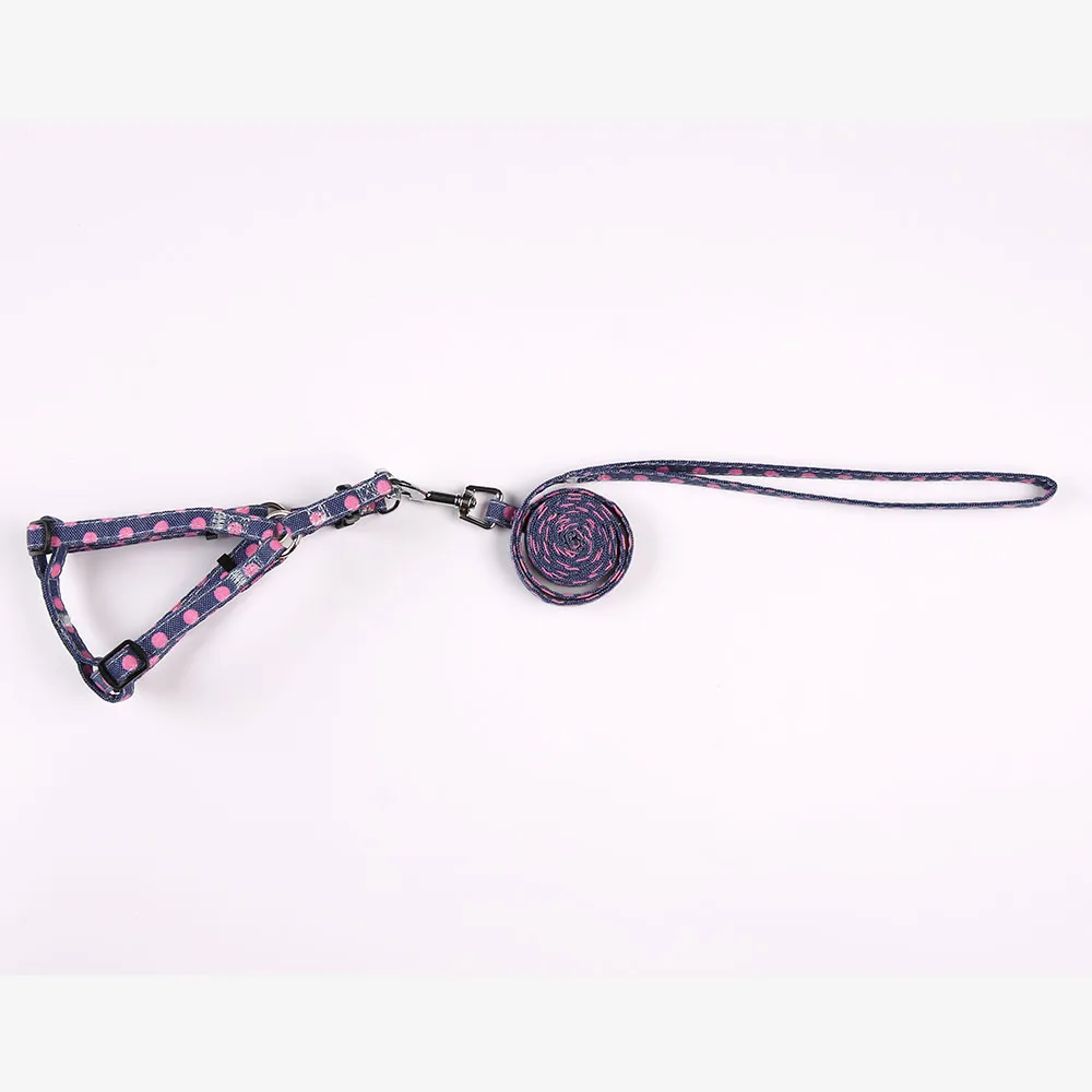 SKU-3 dog leash and harness set